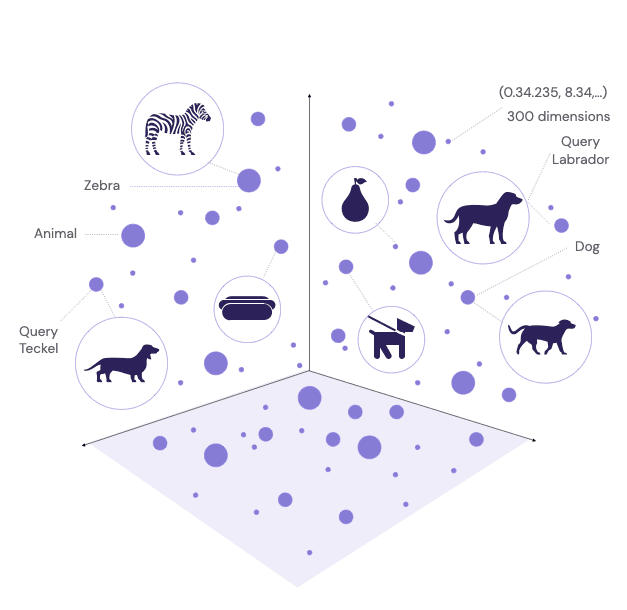 Figure 1: Simplified vector representation of various concepts