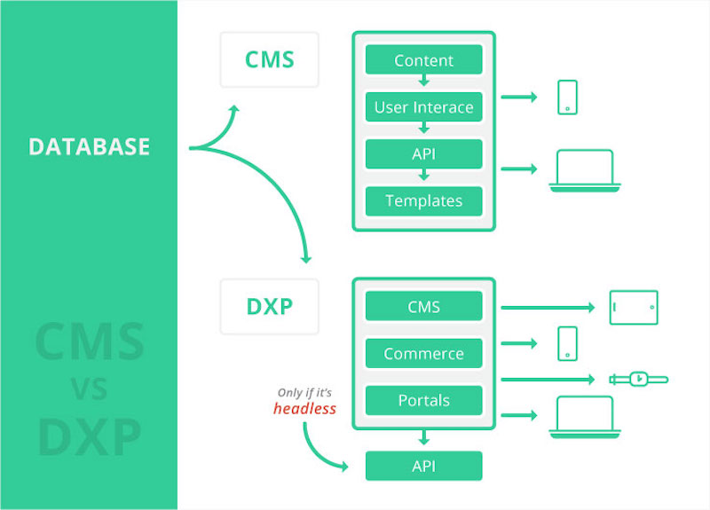 Contentstack CMS vs DXP
