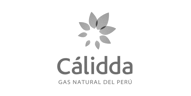 Logo Calidda